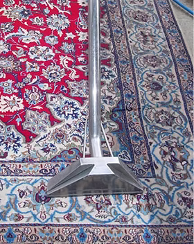 Step 5 Rug Rinse