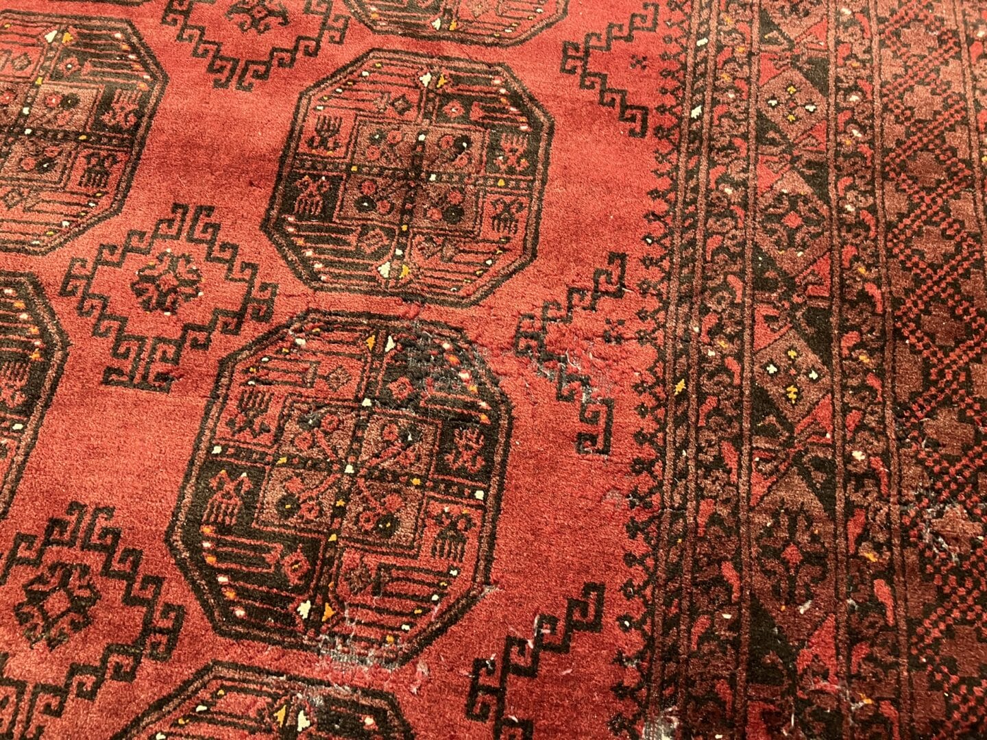 Moth Damage in Rugs What People Notice Too Late Rug Cleaning Cambridge (