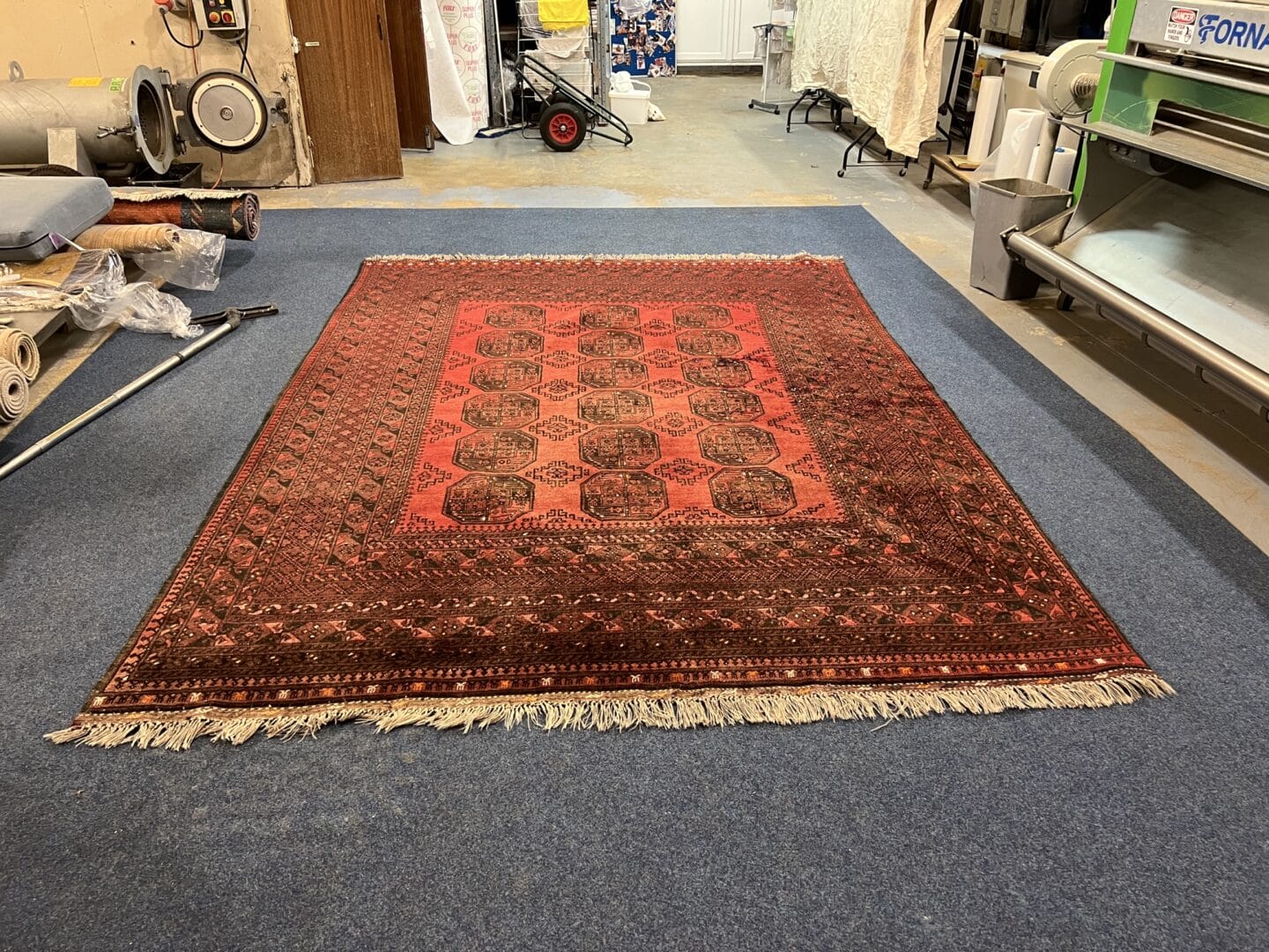 Moth Damage in Rugs What People Notice Too Late Rug Cleaning Cambridge 