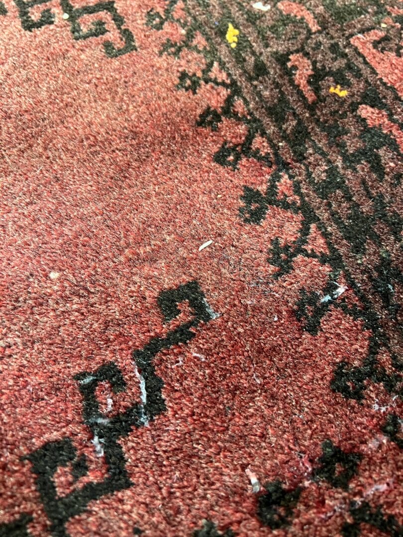 Moth Damage in Rugs What People Notice Too Late Rug Cleaning Cambridge 