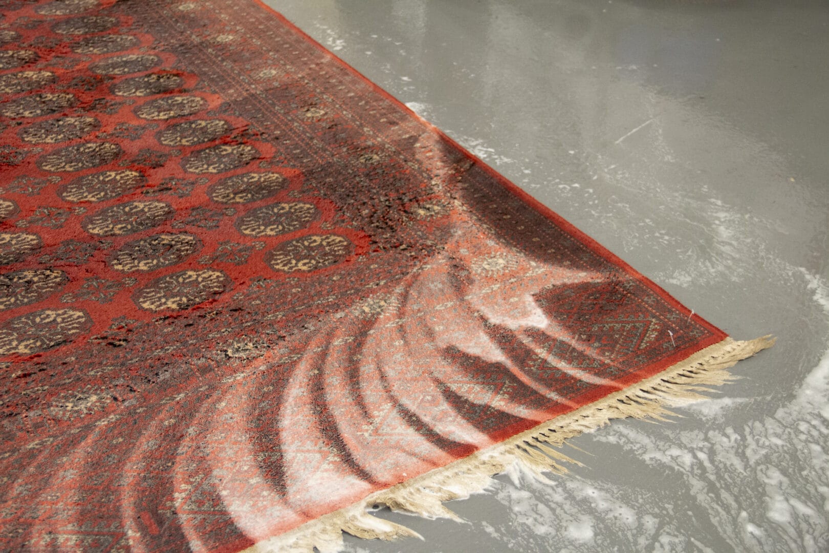 What specialist rug cleaning really means